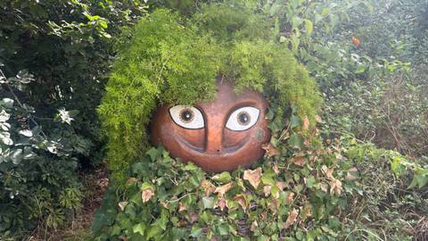 Whimsical garden sculpture of a round face pot partially hidden under lush green foliage.