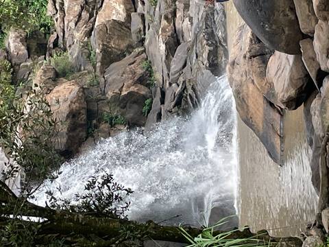 Water tumbles over a rocky ledge into a pool amid lush greenery.