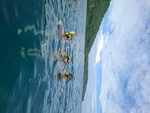 Three snorkelers in masks and snorkels float on turquoise tropical water near a green coastline.