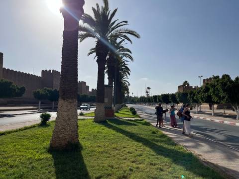Palm-lined boulevard beside long fortress walls where tourists pause in late afternoon light.