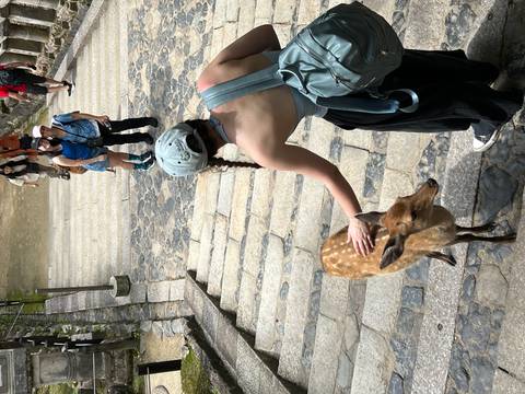 Visitor pets a tame spotted deer on stone steps while other tourists pose for photos behind.
