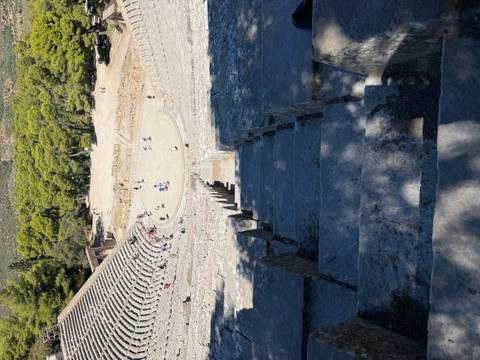 Stone tiers of the ancient theater of Epidaurus descending toward the circular stage surrounded by pine trees.