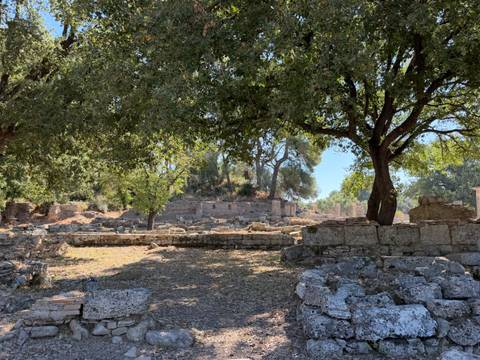 Shaded archaeological ruins framed by large leafy trees with scattered stone blocks.