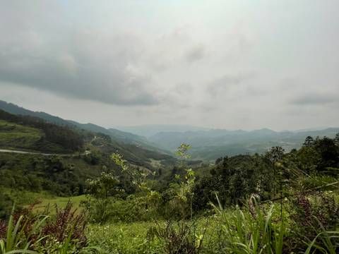 A wide, misty view over lush green valleys and layered mountains beneath a cloudy sky.