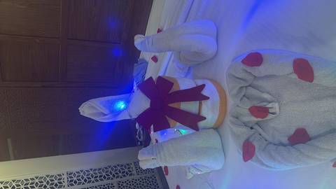 Towel animals shaped like swans with ribbon and fairy lights arranged on a cruise cabin bed.