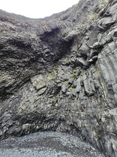 Close-up of dark basalt cliff walls with hexagonal columns and small tufts of greenery.