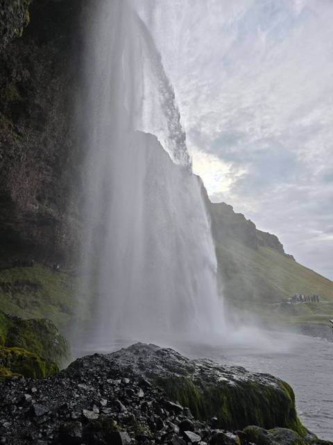 Powerful curtain of Seljalandsfoss waterfall plunging from a mossy cliff with tiny visitors for scale.