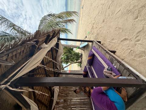 A rustic beachfront cabana with purple mattresses sits beside white sand and palm trees.
