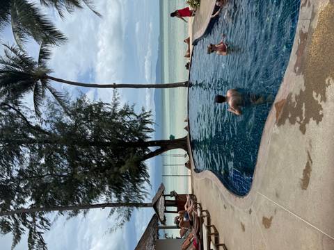 Small beachfront pool ringed by loungers where guests enjoy a swim beneath tall palms and ocean views.