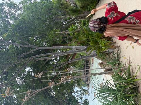 Woman in headscarf strolls a tropical sandy path lined with trees and coastal plants beside clear water.