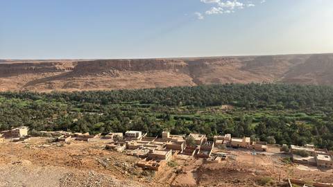 An elevated view of a lush palm oasis and small village set against arid desert cliffs.