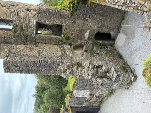 Weathered stone castle ruins with moss and vegetation on a cloudy day.