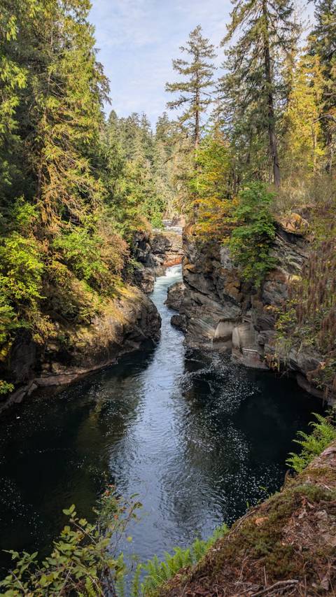 Photo d'avis client sur Trek et kayak sur l'île de Vancouver