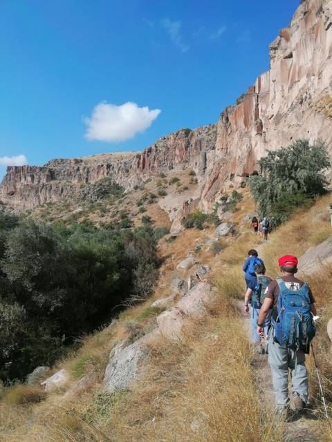 Hikers trek along a rocky canyon trail beneath towering cliffs and sparse trees.