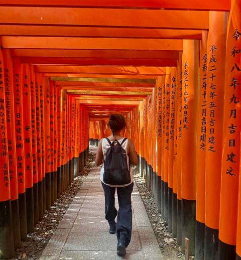 Traveller walks through endless vermilion torii gates inscribed with Japanese characters.