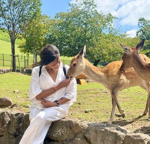 Woman feeds a friendly deer in a grassy park with rolling green hills.