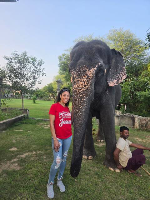 Smiling woman in red shirt stands next to a friendly decorated elephant in a grassy enclosure.