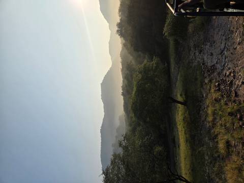 Misty sunrise over rolling hills and dense forest with a lone tree in the foreground.