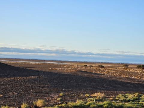 Vast, rocky desert plain under a pale blue sky with distant low hills.