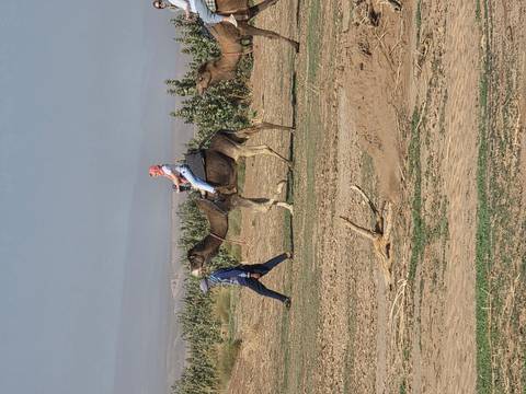 Woman rides a camel led by a guide across a dry, scrubby landscape.