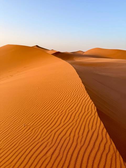 Close-up of patterned sand ridge curves on a golden dune under soft light.