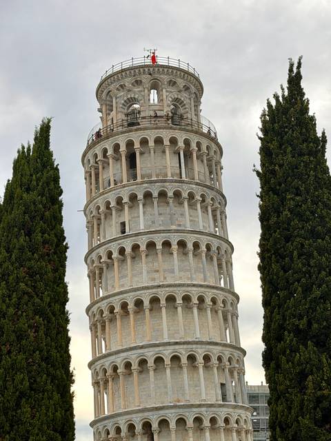 Close-up view of the upper section of the Leaning Tower of Pisa framed by two tall cypress trees against a bright sky