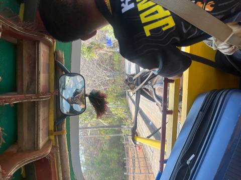 View from inside a colourful horse cart with driver and traveller selfie in mirror.