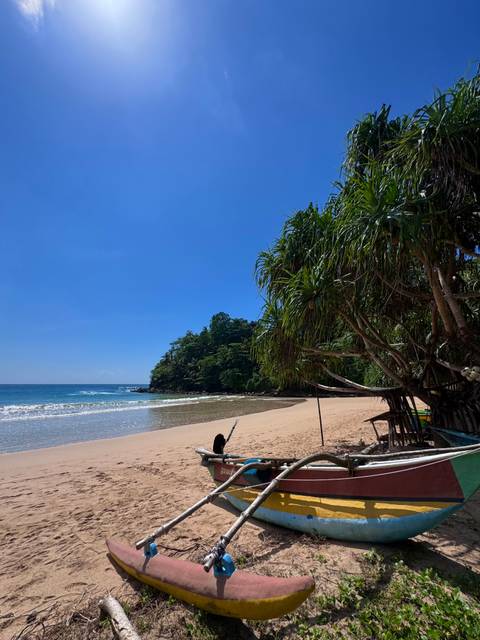 Secluded golden sand beach with clear blue water and tropical trees under cloudless sky.