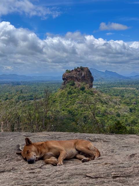 Iconic Sigiriya rock fortress rises above vast green jungle plain under moody clouds.