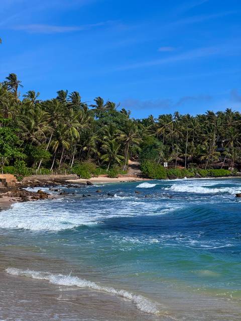 Tropical shoreline with palm forest and waves crashing onto sandy cove.