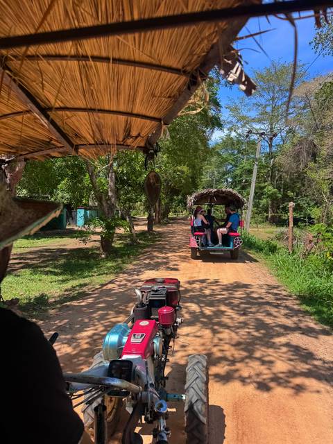 Two travellers ride in a pink farm trailer along a shady dirt road.
