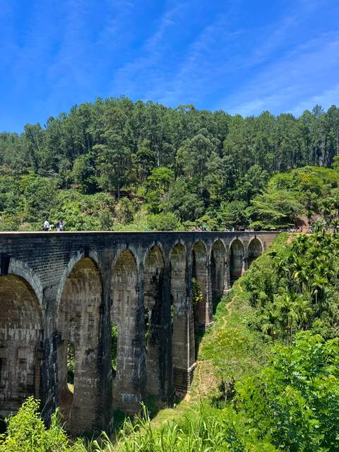 Historic Nine-Arch Bridge spans a lush valley surrounded by dense forest.
