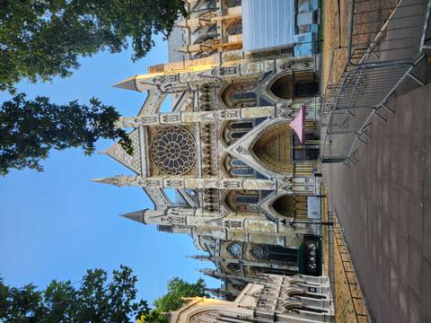 Gothic facade of Westminster Abbey framed by leafy branches under bright blue skies.