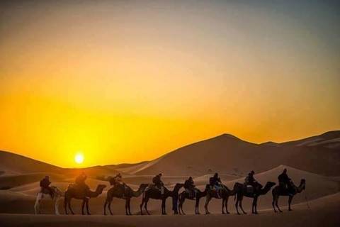 Silhouetted camel caravan crossing dunes against an orange Sahara sunset