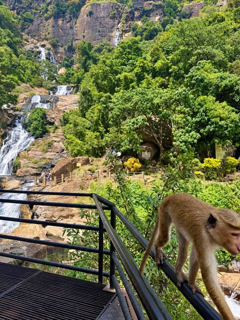 Scenic waterfall cascades down a rocky cliff surrounded by dense green foliage; a monkey is perched on a railing in the foreground.