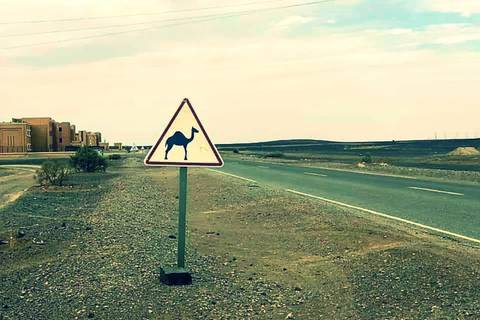 Desert highway with a triangular camel crossing road sign and barren landscape stretching to horizon.