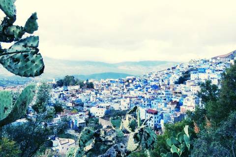Panoramic hillside view over the blue-painted houses of Chefchaouen with cactus in foreground.