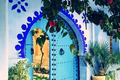 Decorative turquoise door framed by white and cobalt arches with leafy vines overhead.