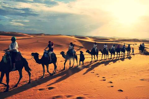 Long caravan of tourists riding camels across golden Sahara dunes illuminated by dramatic sunset light.