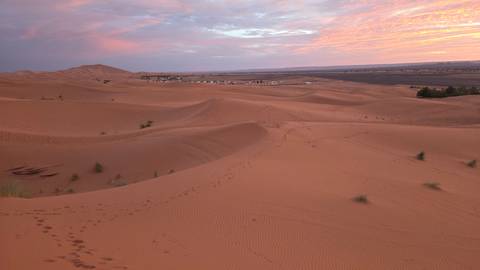 Vast rolling sand dunes glow pink and orange at sunrise with distant camp and plains visible.