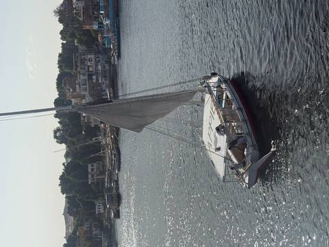Single-sail felucca gliding on the Nile with riverside town in background on a sunny afternoon.