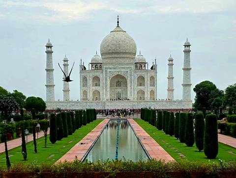 Classic frontal view of the Taj Mahal with reflection pool and a bird mid-flight