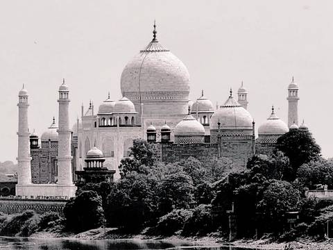 Black-and-white side profile of the Taj Mahal’s domes rising above surrounding trees