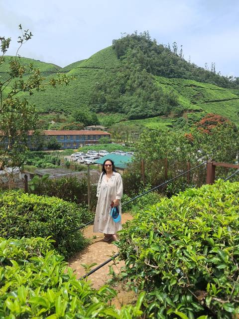 Woman standing among vibrant green tea bushes overlooking plantation valley.