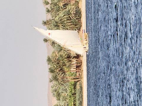 Traditional white-sailed felucca gliding along the Nile with palm trees lining the sandy bank.