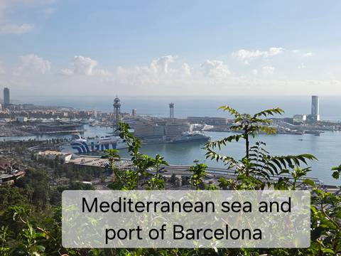 Harbor panorama with cruise ship and city skyline seen through haze, overlaid with descriptive text banner
