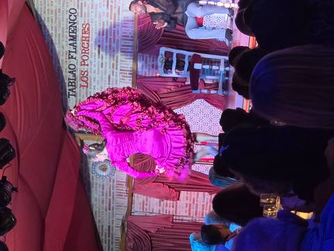 Flamenco dancer in bright fuchsia dress performing on stage before an audience in an intimate tablao setting