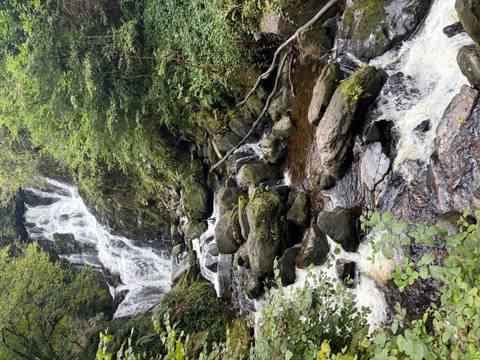Lush forest waterfall cascading over rocks surrounded by greenery