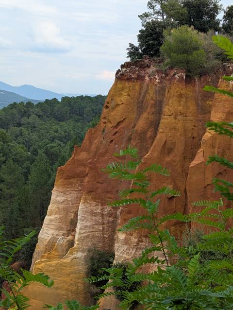 Colorful ochre rock face rising above dense pine forest