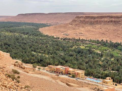 Wide view over a lush palm oasis stretching along a desert valley beneath flat-top cliffs.